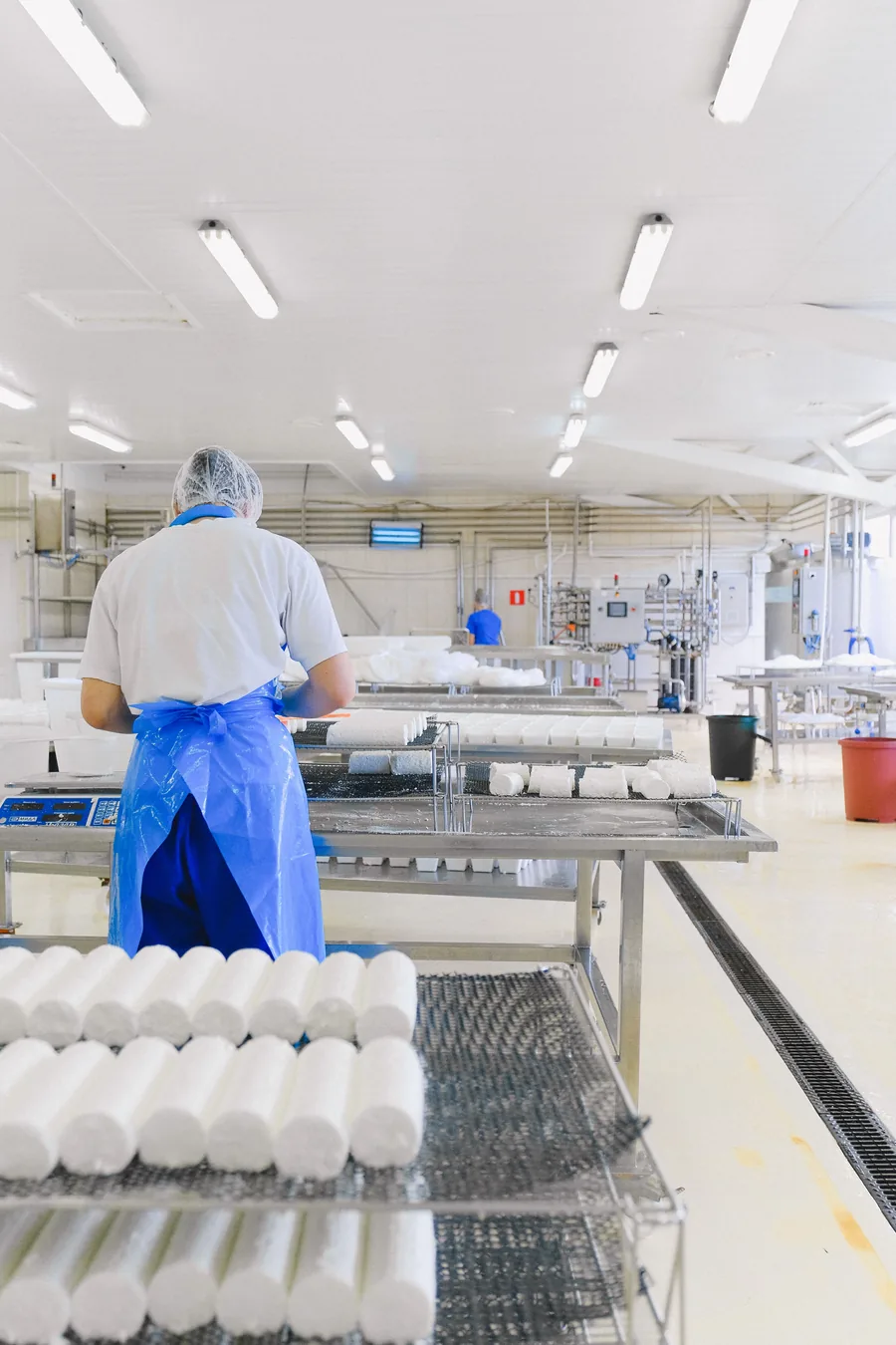 Opérateur debout devant les plateaux d'un atelier de transformation laitière